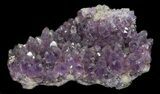 Purple Amethyst Cluster - Turkey #55349-1
